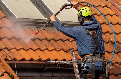 Démoussage et hydrofuge de toiture à Grury